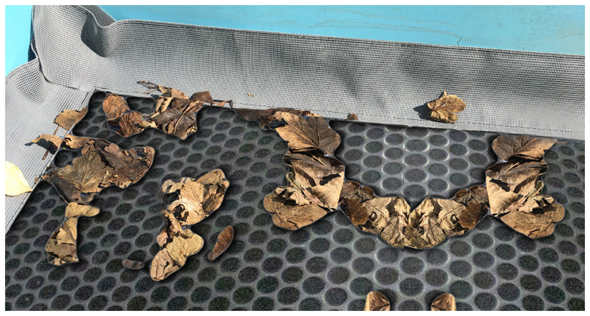 bâche à bulles été hiver quatro noire 400 iverbul avec grille filtrante