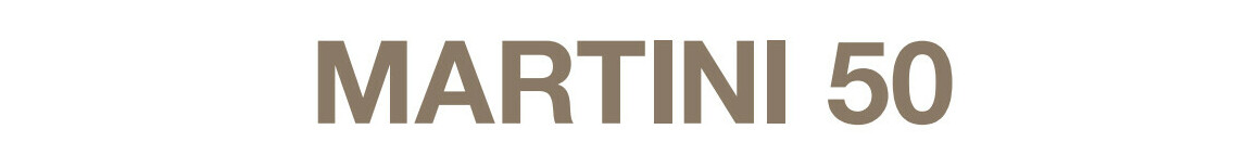 logo ecosmart fire martini 50