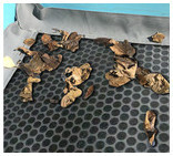 bache a bulles noire luxe iverbul quatro bavette grille le m piscine center 1492175891