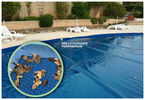 bache a bulles arlequin luxe iverbul quatro bavette grille le m  piscine center 1492508888