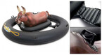 bouee rodeo gonflable intex piscine center 1518014076