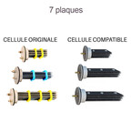 cellule pacific vignette7_125