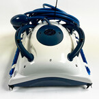 dolphin pool up 3_417