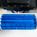 dolphin pool up 4_920