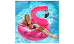flamant rose piscine center 1459409718