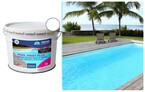 peinture pool paint plus blanc 10l piscine center 1461157952