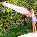 platypool view6pg_726