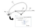plongeoir dynamic flexible avec arceaux inox 2 30m piscine center 54296400