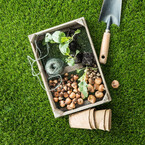 turgrass 5_300