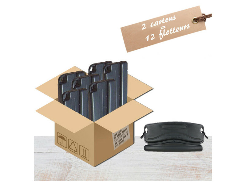 vignette 2 cartons_467