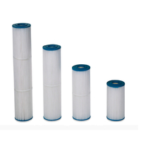Cartouches de remplacement Plati Clair - Pentair - Hayward