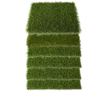 Echantillon de gazon Beaulieu International Group