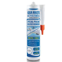 Joint colle Aqua Mastic