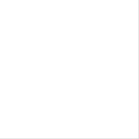 Liner armé blanc 150/100 ème - Rouleau de 2.05 x 25 m