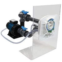 Nage a contre-courant Lum Jetvag