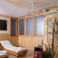 Plafonnier à infrarouge d'extérieur