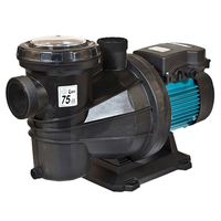 Pompe piscine Silver