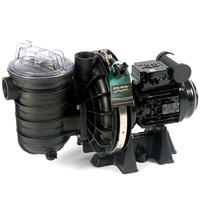 Pompe piscine Sta-Rite 5p2r