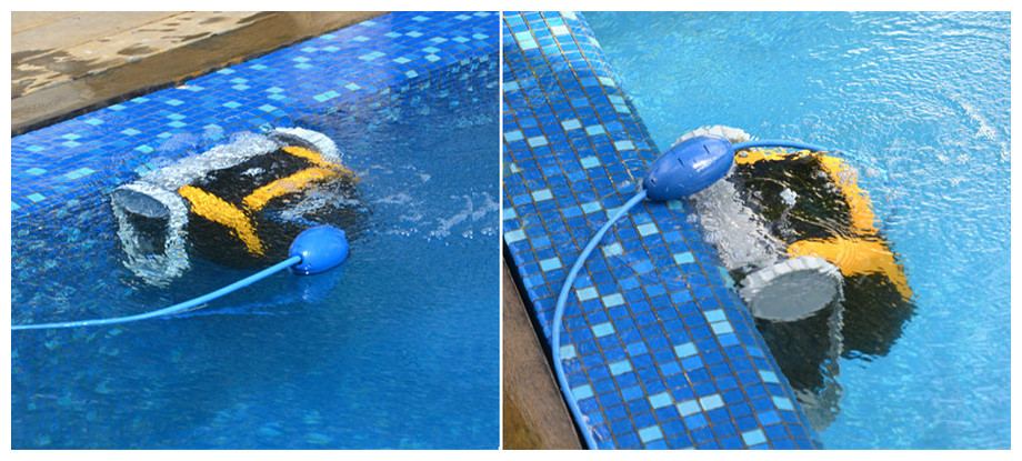 Détail du robot de nettoyage de piscine Dolphin E25 