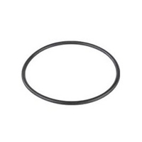 Joint de couvercle de panier de préfiltre pour pompe de piscine challenger