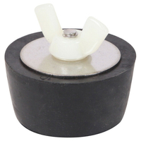 Bouchon hivernage  2'' la pièce