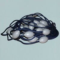 Câble 25m cybernaut zodiac