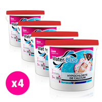 Chlore non stabilisé waterblue granulé - 4 x 5 kg
