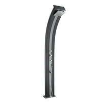 Douche Hybride Dada Curve 40 L - Anthracite