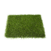 Echantillon gazon Forestland