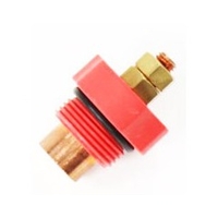 Electrode mise a la terre