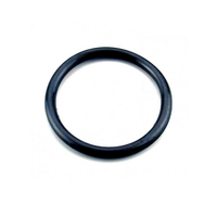 Joint ampoule PAR56 projecteur Astral