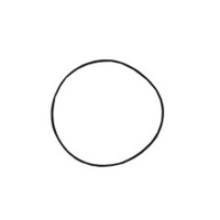 Joint thorique de couvercle pour filtre à sable de piscine Jupiter 6''