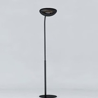 Lampe chauffante infrarouge 2000 W - noir