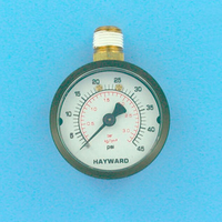 Manomètre pour filtre à diatomée hayward