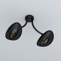 Plafonnier chauffant infrarouge double tête 2 x 2000 W - noir