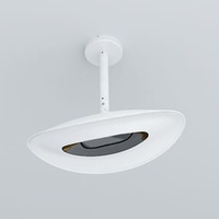 Plafonnier chauffant infrarouge 1500 W - blanc