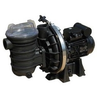 pompe 5p2r 0 5 cv d occasion 31360