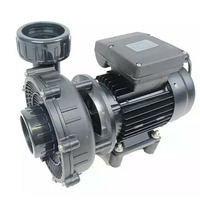 Pompe compatible Desjoyaux reconditionnée 400 W - N/S : 2021n0401058