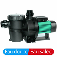 Pompe Silen2 300 monophasé d'occasion