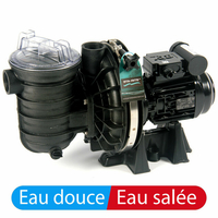 Pompe starite sel s5pr2 1,5 cv monophase d'occasion