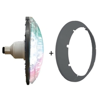 Projecteur LED pour conduit 1.5 30W RGBW 1150 lm - anthracite