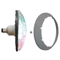 Projecteur LED pour conduit 1.5 30W RGBW 1150 lm - gris