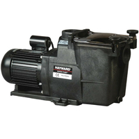 Super pump hayward 1,5 cv mono 18 m³/h 2''