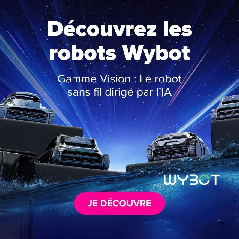 Robots Wybot Vision