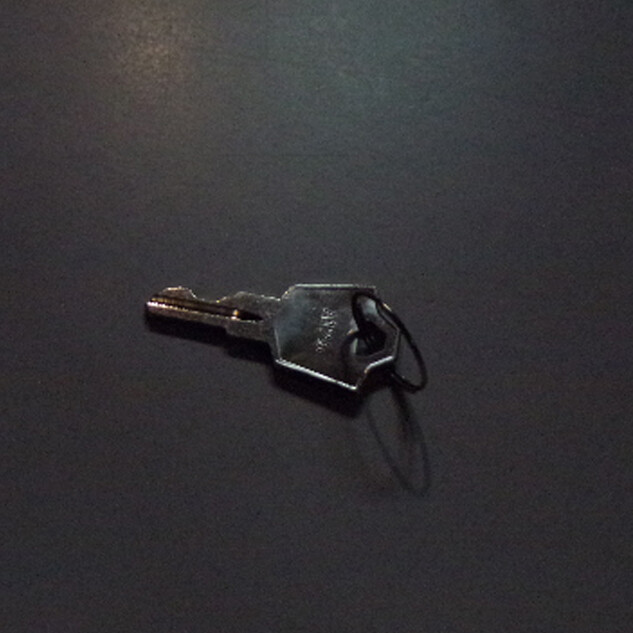 clef alarme visio 11788