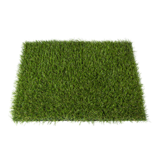 echantillon gazon alcoya 75671